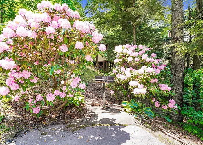 The Hemlock Hideaway