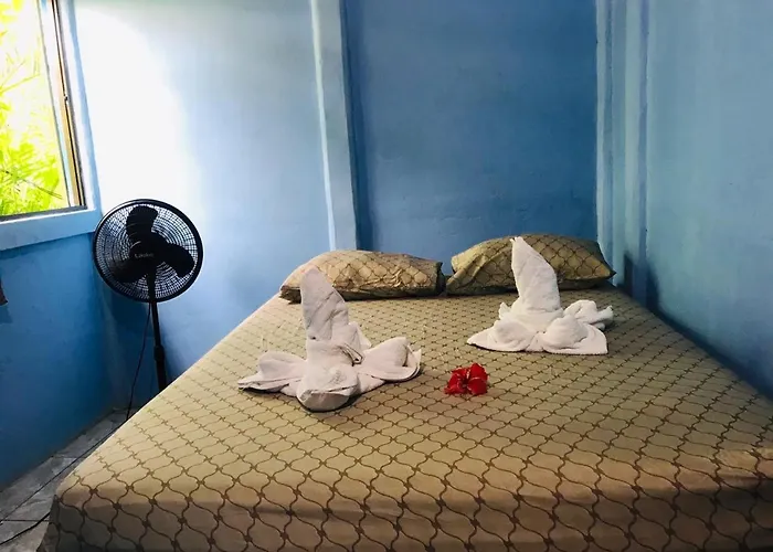 Green Macaw Hostel