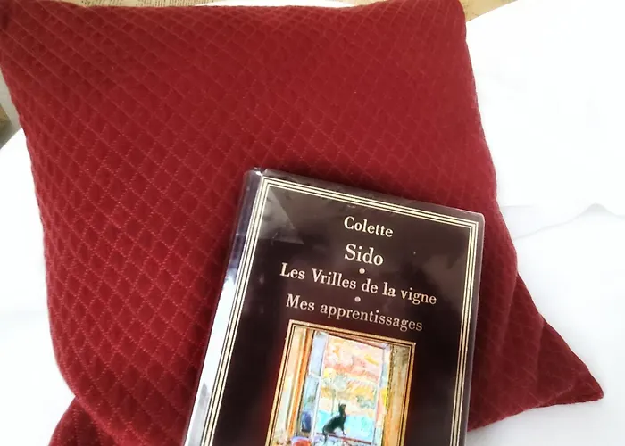 Hôtel Mille et une Feuilles