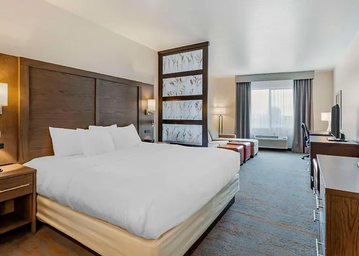 Comfort Inn & Suites Brighton Denver Ne Medical Center
