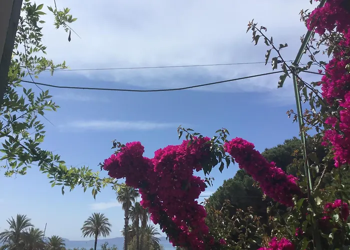 L'Ilot Fleuri