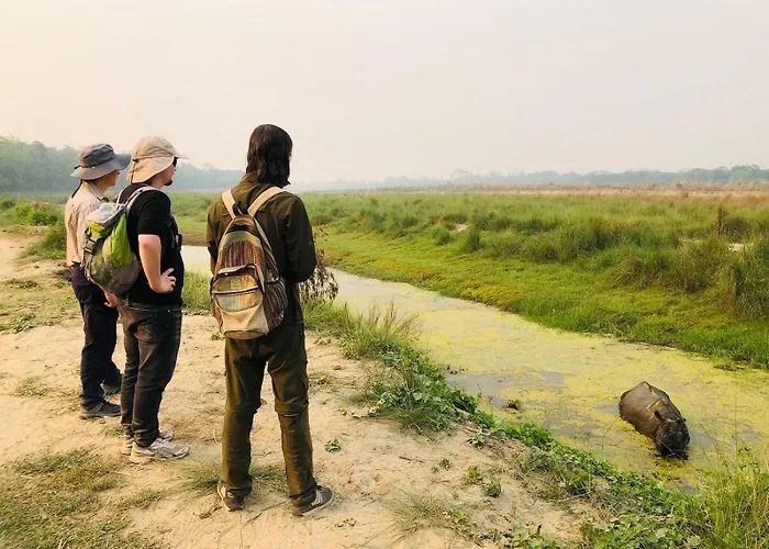 Hotel Tiger Tops Sauraha