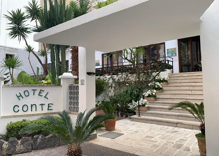 Hotel Conte