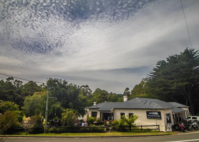 Weldborough Hotel