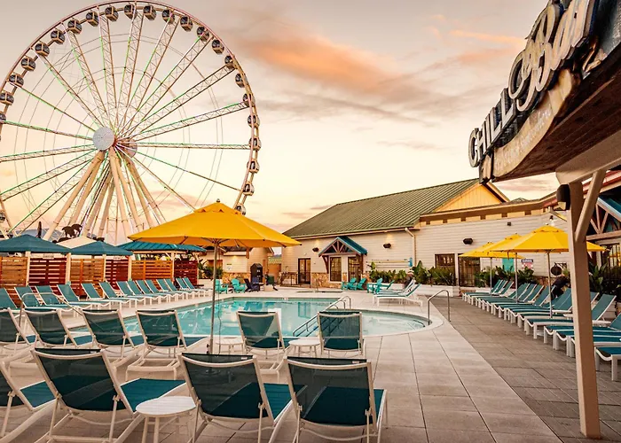Margaritaville Island Hotel