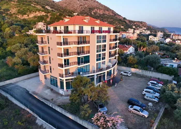 Hotel Borshi