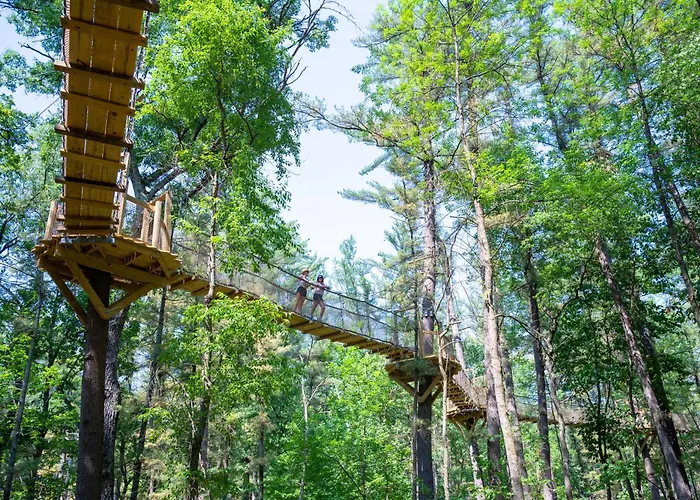 Natura Treescape Resort