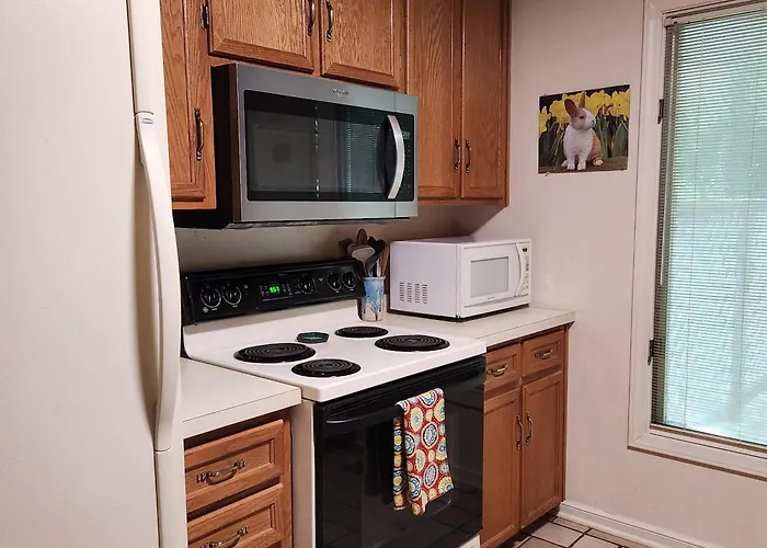 Massanutten Resort Home - Quiet, Convenient, Family- And Pet-Friendly