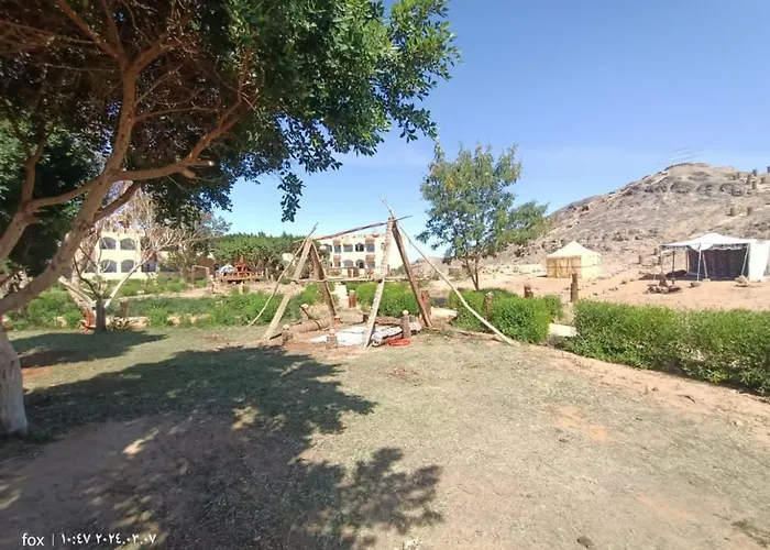 Oasis Panorama