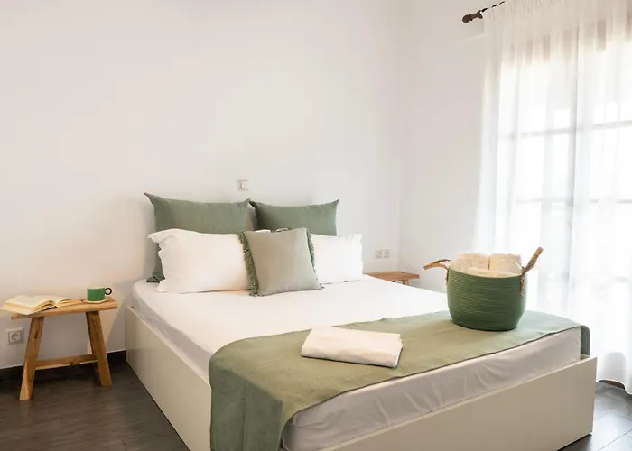 Hotel Theopisti