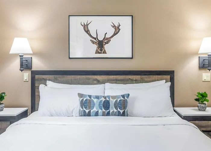 Inn At Mount Shasta