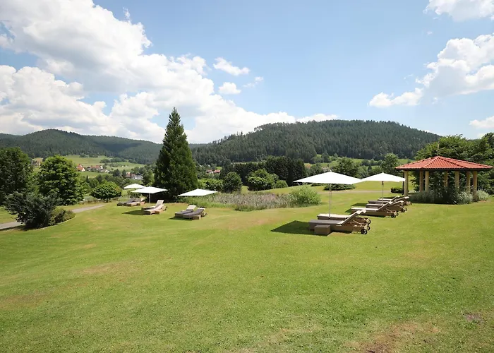 Ailwaldhof Parkhotel & Spa
