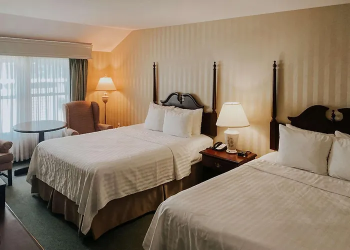 Quality Inn & Suites Downtown