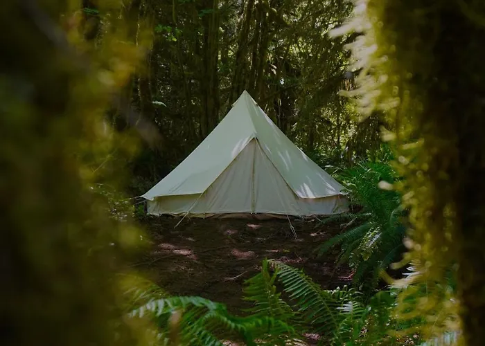 Wander Camp Olympic
