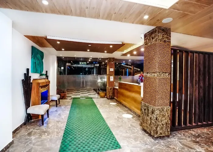 An Resort Mashobra !! Balcony View Rooms !! Parking !! Open Terrace !! Playing Zone !! Free Bonfire