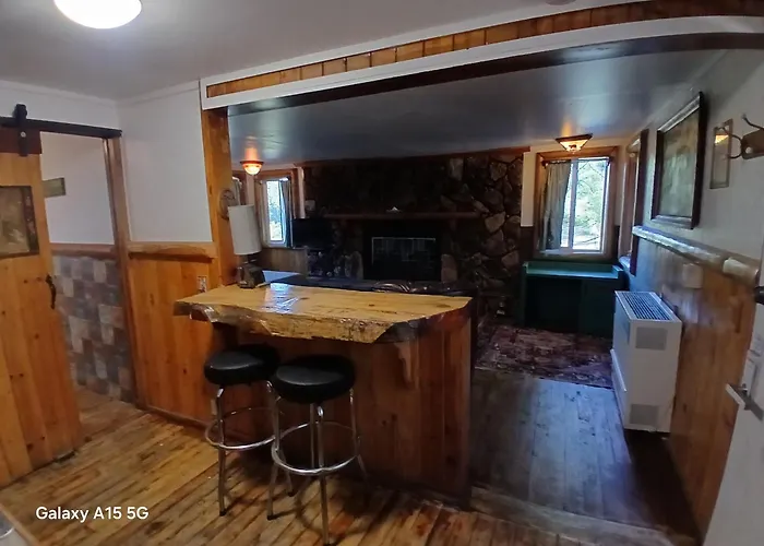 Big Bear Lake - Tulip Lane Cabin #21