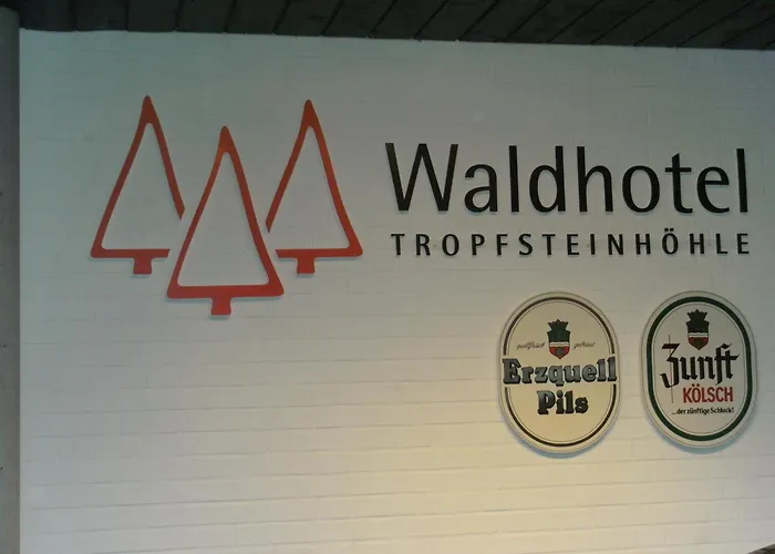 Waldhotel Tropfsteinhoehle