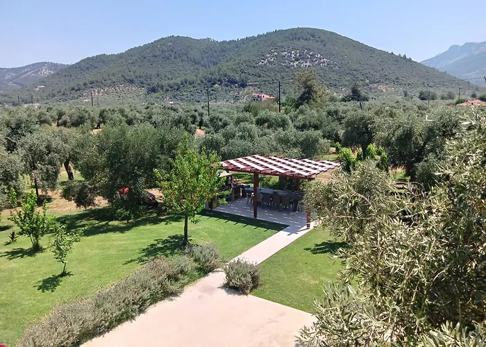 Anatoli Studios