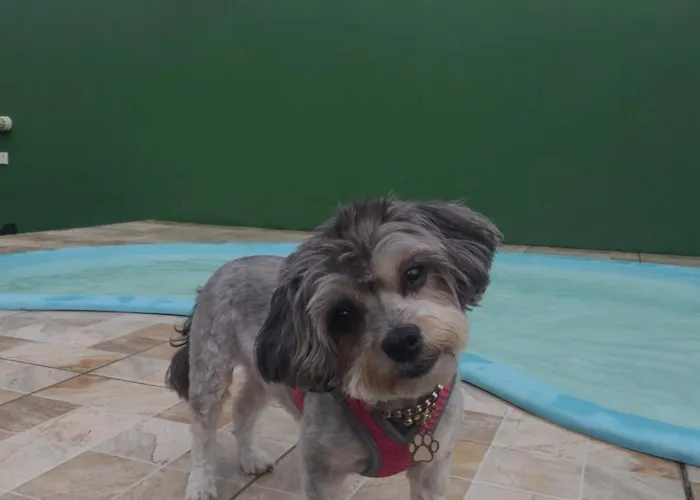 Casa com pisina infantil em Brotas