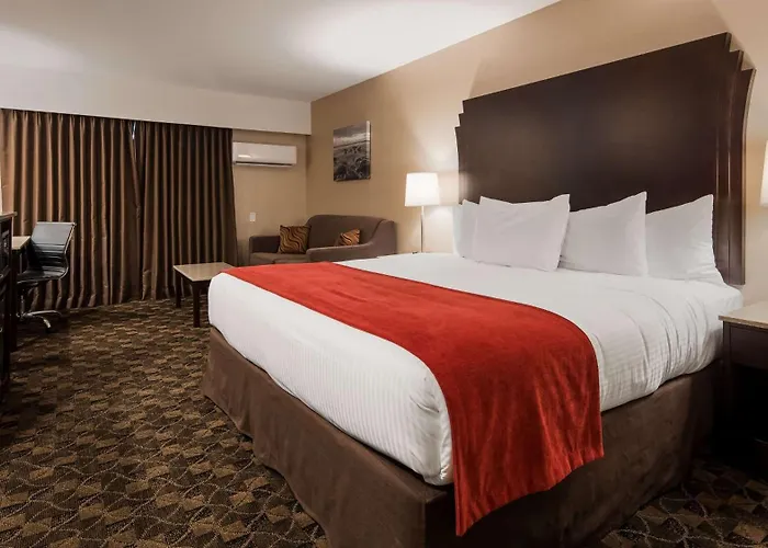 Best Western Northgate