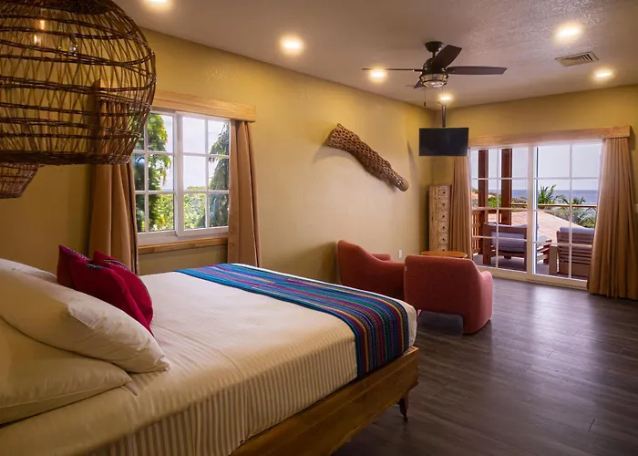 Mr. Tucan Hotel