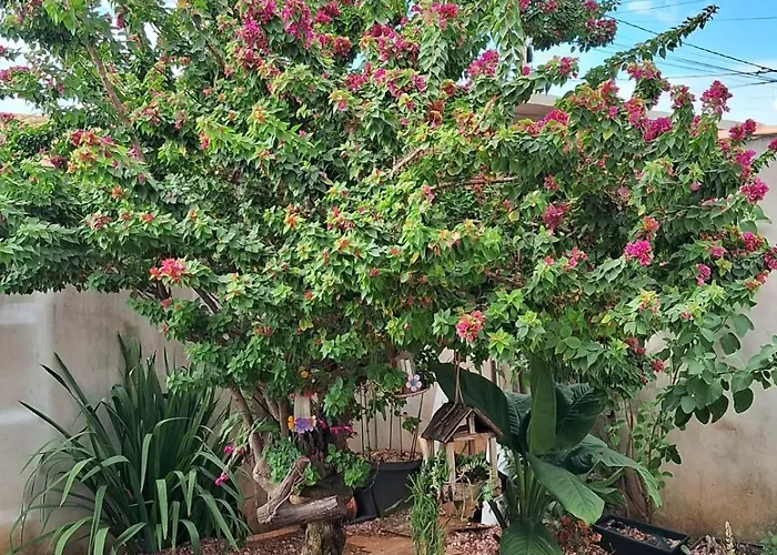 Casa Primavera