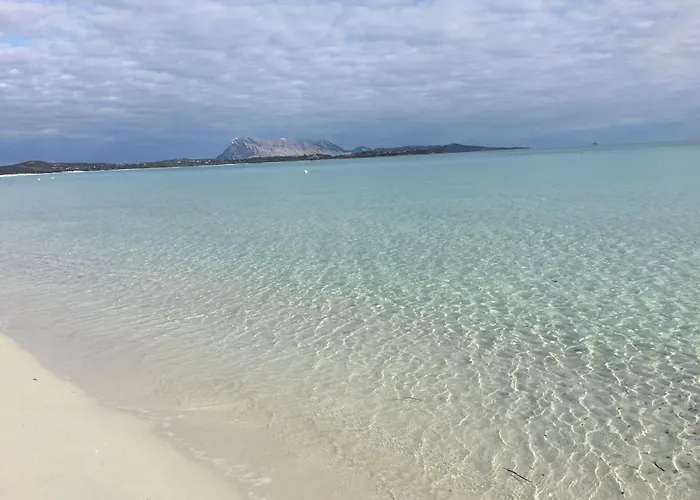 Hotel Al Faro , Spiaggia La Cinta ,San Teodoro