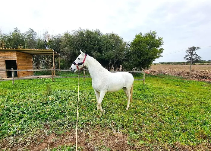 Herdade Moita Mar - Country&Sea