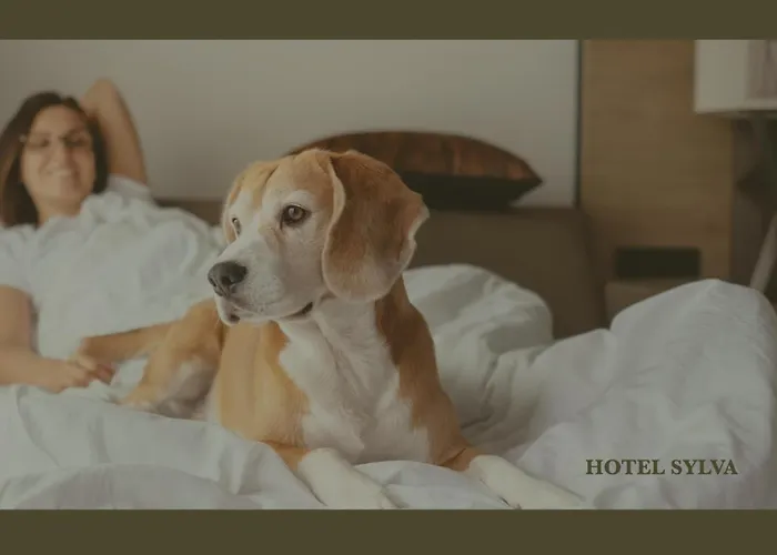 Hotel Sylva