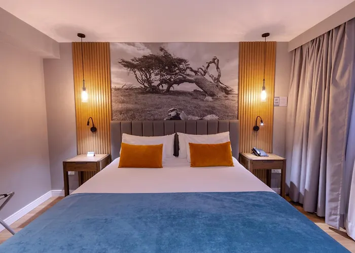 Alto Andino Hotel