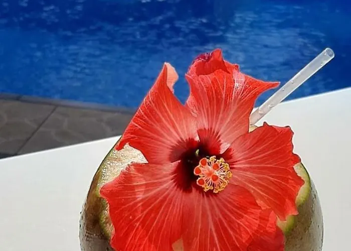 Pousada Florais do Atlântico