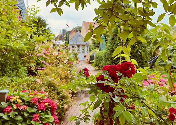 Hotel Bed & Breakfast Am Dom