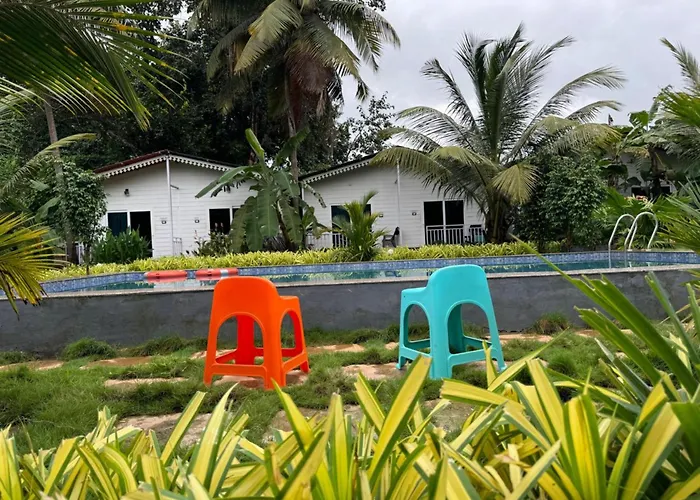 White Truffle Resort, Arambol