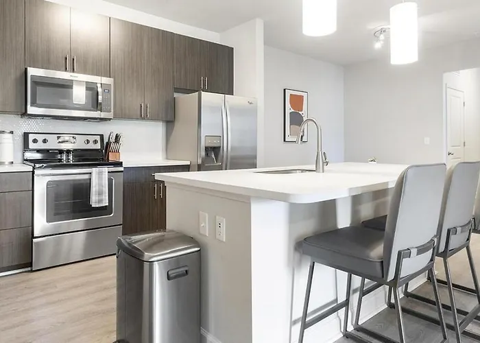 Landing Modern Apartment With Amazing Amenities