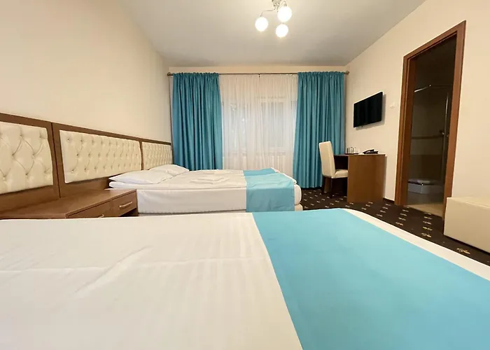 Hostel Paltinis