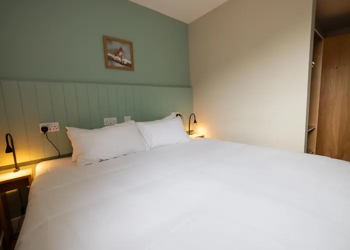 An Spiris Accommodation At Dundreggan Rewilding Centre