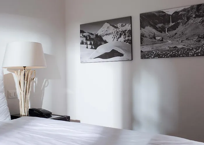 Hotel Des Alpes Superieur
