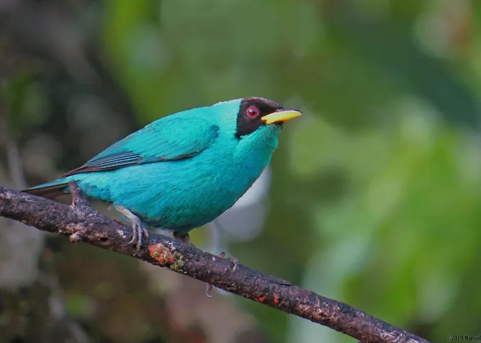 La Selva Biological Station