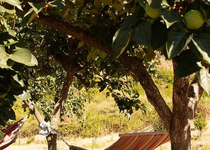Agroturizem Hotel Vila Franceze