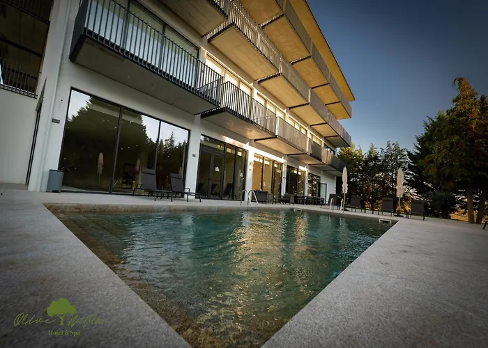 Olive Nature Hotel & Spa - Quinta Valle De Passos