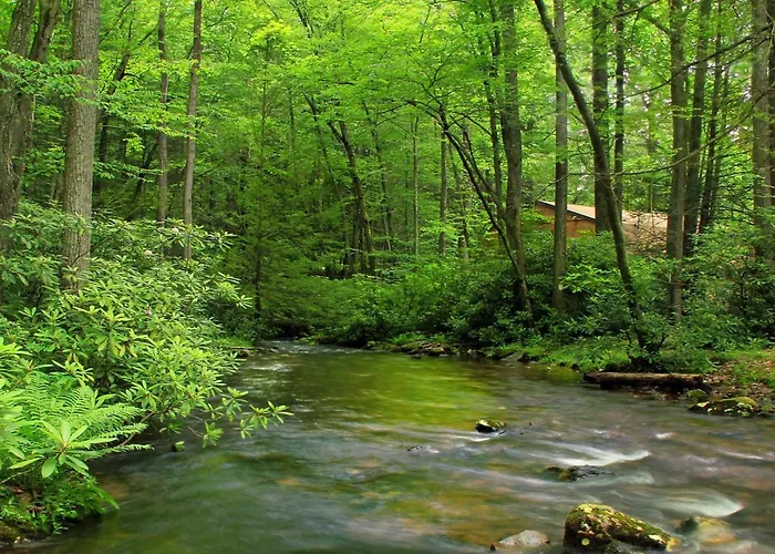 Bear Creek Cottage