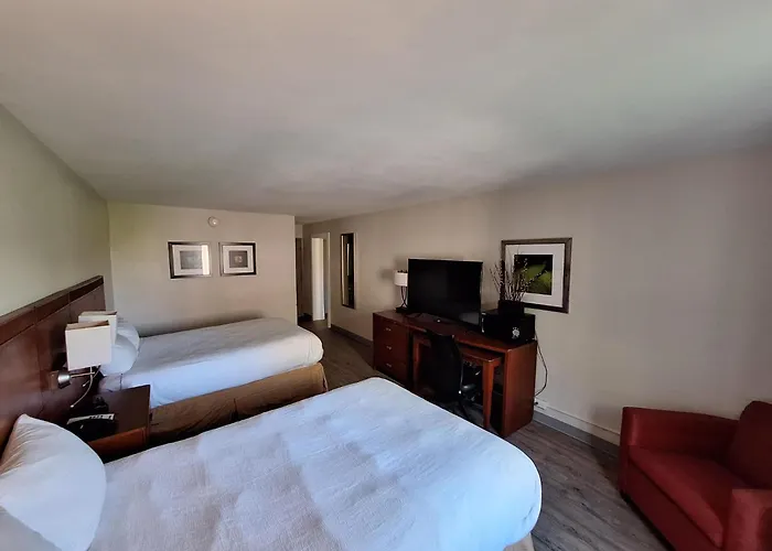 The Hotel Orange