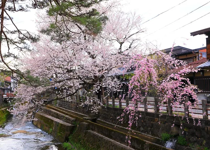 Takayama Stay Karatachi