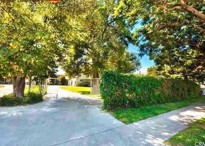 New Charming Spacious Disneyland Pool Home