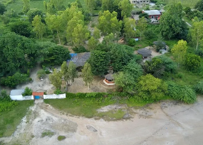 Les Calaos Du Saloum