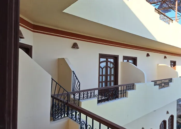 Dolphin Hotel Safaga