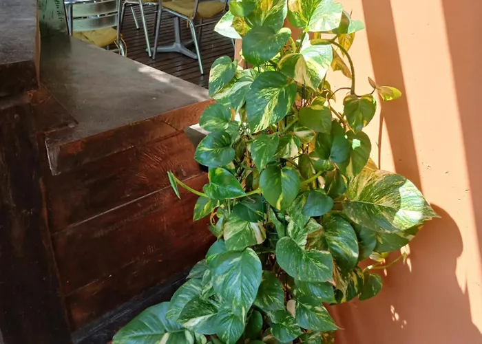 Pousada Cacau e Dendê