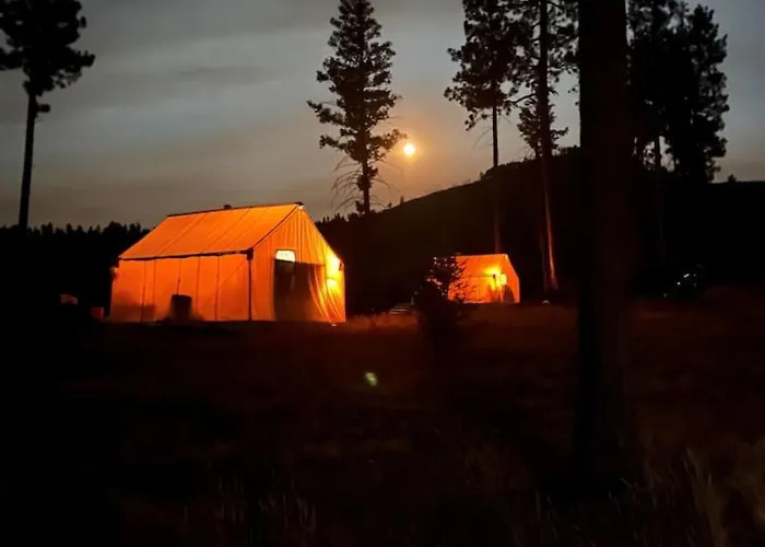 Tent 2 Oxen-Le-Fields Montana