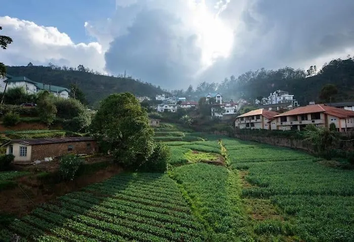High Garden Hotel