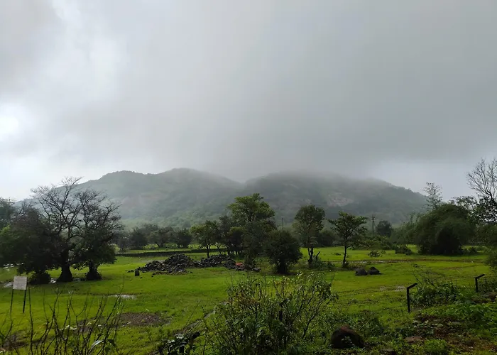 The Purple County - Homestay